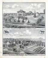 S. A. Jones, Isaac Robinson, Farm, Residence, Waltham, Dimmick, La Salle County, La Salle County 1876